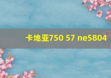 卡地亚750 57 ne5804